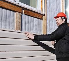 Best Custom Trim and Detailing for Siding  in Cannon Af, NM